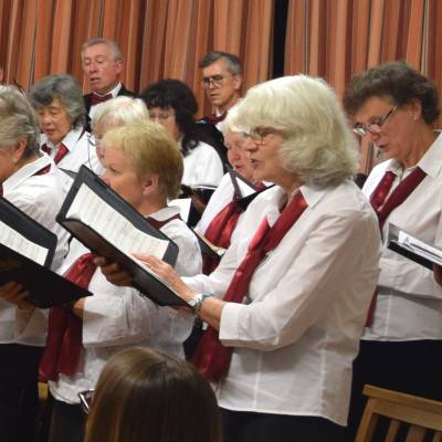 Choir Concert Dress